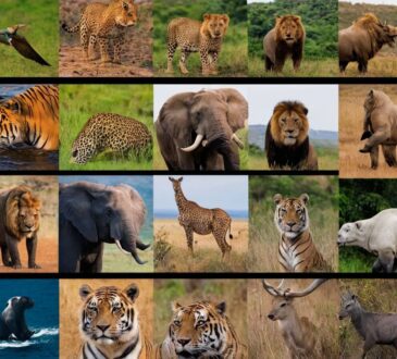 Die giftigsten Tiere der Welt: Faszinierende Fakten über die gefährlichsten Kreaturen der Natur