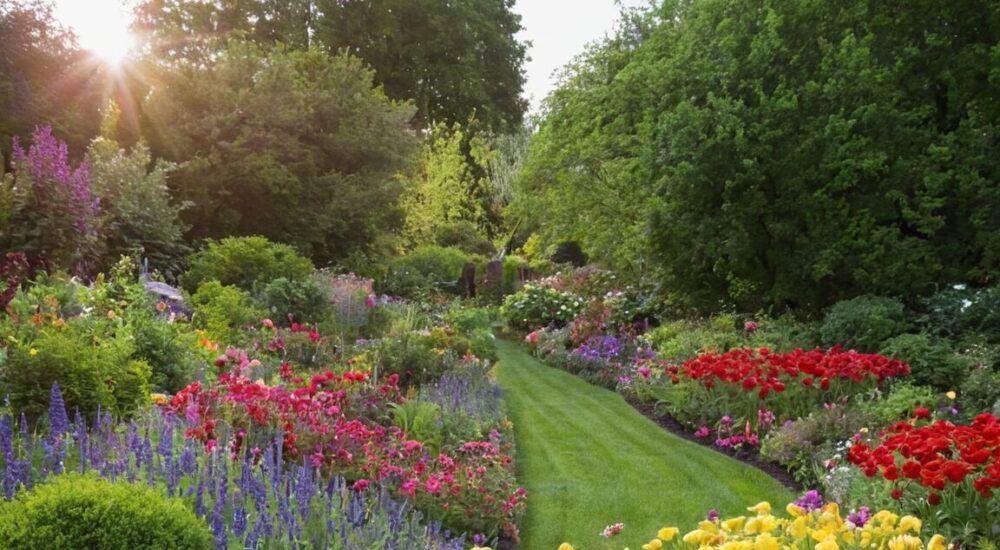 Winterharte Pflanzen für pralle Sonne: Die besten Tipps für einen blühenden Garten