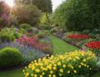 Winterharte Pflanzen für pralle Sonne: Die besten Tipps für einen blühenden Garten