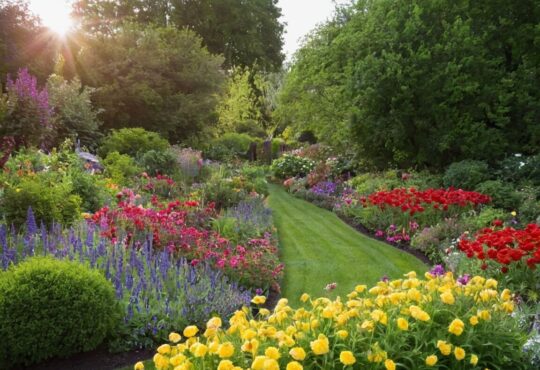 Winterharte Pflanzen für pralle Sonne: Die besten Tipps für einen blühenden Garten