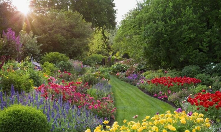 Winterharte Pflanzen für pralle Sonne: Die besten Tipps für einen blühenden Garten